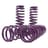 D2 Racing Lowering Springs | 2016+ Honda Civic Base / Si & 2023+ Acura Integra Base / A-Spec